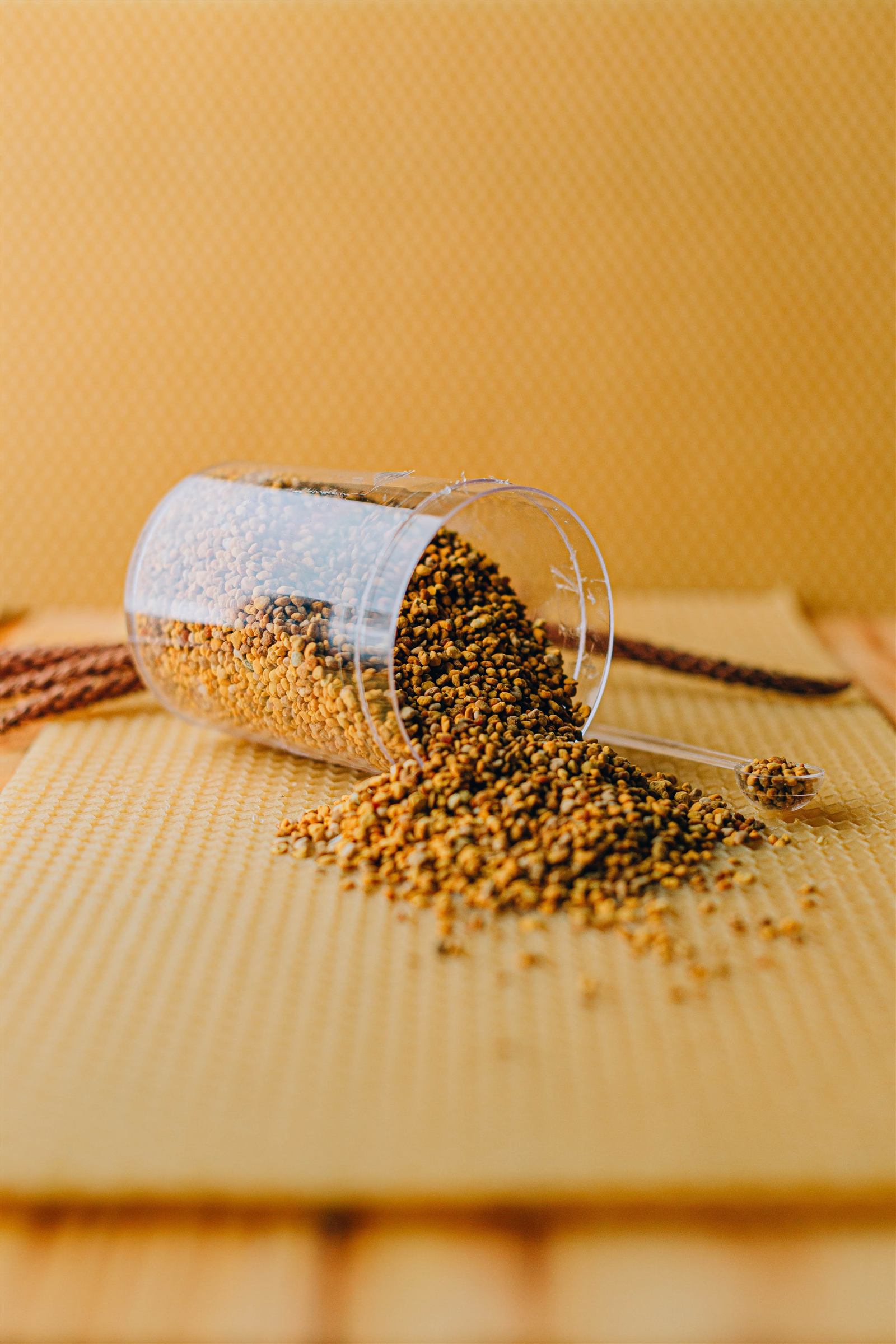 Polen de abejas en granos dentro de un frasco